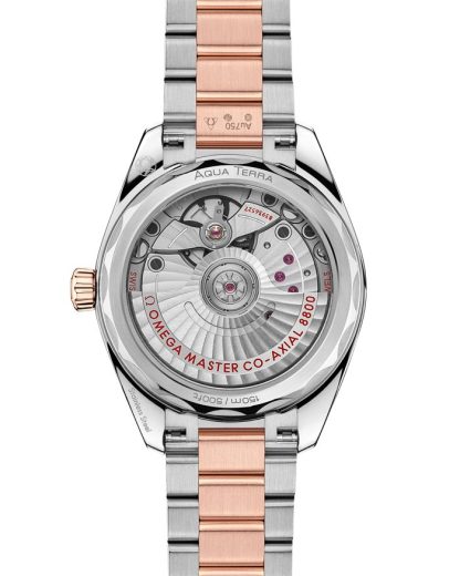 Omega Seamaster Aqua Terra Shades 34 mm, acier - or « Sedna™ » sur acier - or « Sedna™ » 220.20.34.20.10.001 – Image 2