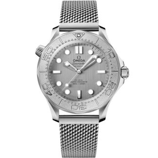 Omega Seamaster Diver 300M 42 mm, acier sur acier 210.30.42.20.06.002