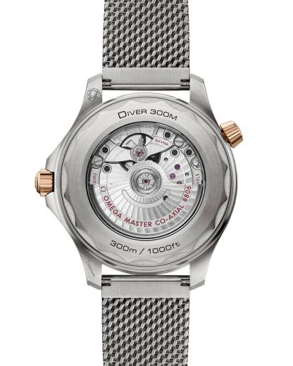 Omega Seamaster Diver 300M 42 mm, titane - Bronze gold sur titane 210.90.42.20.10.001 – Image 2