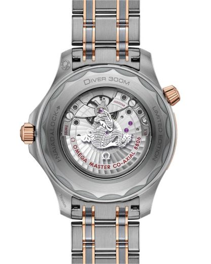 Omega Seamaster Diver 300M 42 mm, titane - tantale - or Sedna™ sur titane - tantale - or Sedna™ 210.60.42.20.99.001 – Image 2