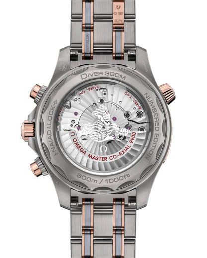 Omega Seamaster Diver 300M 44 mm, titane - tantale - or Sedna™ sur titane - tantale - or Sedna™ 210.60.44.51.03.001 – Image 2